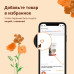 Сухой корм для кошек со свежей курицей и коричневым рисом, Life Maintenance, Fresh Chicken
