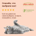 Сухой корм для кошек со свежей курицей для профилактики мочекаменной болезни, Urinary Help, Fresh Chiсken