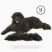 FURminator - Фурминатор для гигантских собак с длинной шерстью, XL