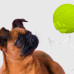 Mr.Kranch - Игрушка для собак Мяч с лапкой 8 см неоновая желтая