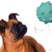 Mr.Kranch - Игрушка для собак Мяч с шипами 8 см неоновая голубая