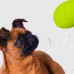 Mr.Kranch - Игрушка для собак Мяч-регби 14 см неоновая желтая