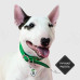 Mr.Kranch - Ошейник для собак из натуральной кожи с qr-адресником, 20-24см, зеленый