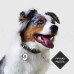 Mr.Kranch - Ошейник для собак из натуральной кожи с qr-адресником, 33-40см, оливковый