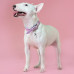 Mr.Kranch - Ошейник для собак из натуральной кожи с qr-адресником, 22-26см, нежно-розовый