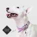 Mr.Kranch - Ошейник для собак из натуральной кожи с qr-адресником, 33-40см, нежно-розовый