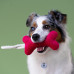 Mr.Kranch - Игрушка для собак мелких и средних пород косточка с канатом 31х9х4см, ярко розовая