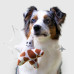 Mr.Kranch - Игрушка для собак мелких и средних пород звездочка с канатом и пищалкой 26х16х5см, бежево-пятнистая