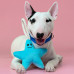 Mr.Kranch - Игрушка для собак мелких и средних пород звездочка с канатом и пищалкой 26х16х5см, нежно-голубая