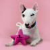 Mr.Kranch - Игрушка для собак мелких и средних пород звездочка с канатом и пищалкой 26х16х5см, нежно-розовая