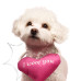 Mr.Kranch - Игрушка для собак мелких и средних пород Сердечко с канатом и пищалкой 15х12х4см, розовое