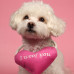 Mr.Kranch - Игрушка для собак мелких и средних пород Сердечко с канатом и пищалкой 15х12х4см, розовое