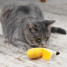Игрушка для кошек dental "банан"