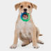 Игрушка для собак "орка кольцо - растем вместе" мультиповерхность, 15 см