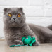 Petstages - Игрушка для кошек "танцующий лягушонок со звуком" с кошачьей мятой 14 см
