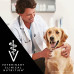Purina Pro Plan DRM - Сухой корм для собак при лечении аллергии (drm dermatosis)