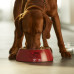 Purina Pro Plan - Корм для собак средних и крупных пород с говядиной и рисом