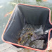 JBL pond fish net M fine - Пруд. сачок, тонк. сетка, 50х43 см, с тел. ручкой 160 см