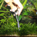 JBL ProScape Tool S 16 spring - Пружинные ножницы для мхов и газонов в аквариуме, 16 см