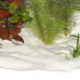 JBL Sansibar SNOW - Декоративный грунт для пресн и морских аквариумов, белоснежный, 10 кг