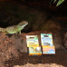JBL Tortoise Shine - Препарат для ухода за панцирем сухопутных черепах, 10 мл