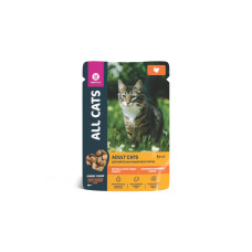 All Cats - Пауч для кошек с  тефтельками из индейки в соусе