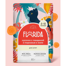 FLORIDA - Паучи для котят: кусочки с говядиной и морковью в желе, упаковка 12шт x 85г