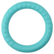 Mr.Kranch - Игрушка для собак Кольцо диаметр 18 см бирюзовая