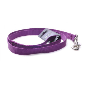 Поводок для собак нейлоновый 1x120см, фиолетовый