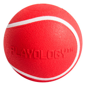 Playology - Жевательный мяч SQUEAKY CHEW BALL 6 см для собак мелких и средних пород с пищалкой и с ароматом говядины, цвет красный
