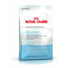 Royal Canin - Корм для беременных и лактирующих кошек (queen)