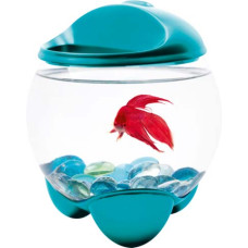 Tetra betta bubble бирюзовый аквариум-шар для петушков с освещением 1,8 л