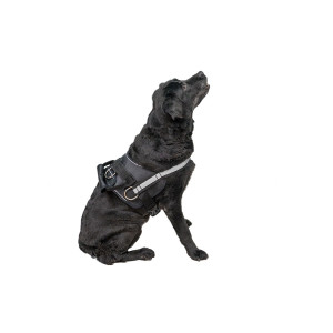 Шлейка для служебных собак(тяговая)"Kombo" черная об.шеи 55-77см,об.гр 85-110см