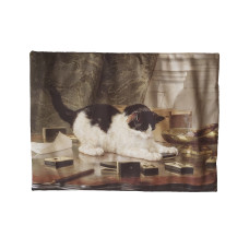 Антицарапки - Матрас для кошек Генриетта Рённер с валерианой 45х32 см